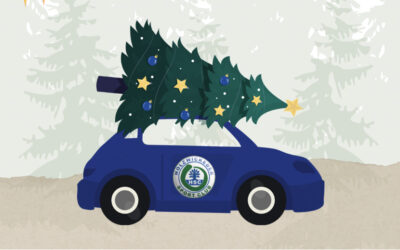 Weihnachtsbaumverkauf am Haarstrang